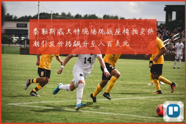 泰勒斯威夫特现场观战座椅拍卖热潮引发价格飙升至八百美元